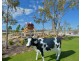 38 Pegus Meander, South Yunderup WA 6208