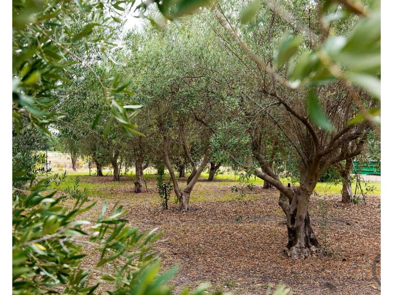 418 Newnham Road, Lake Clifton WA 6215