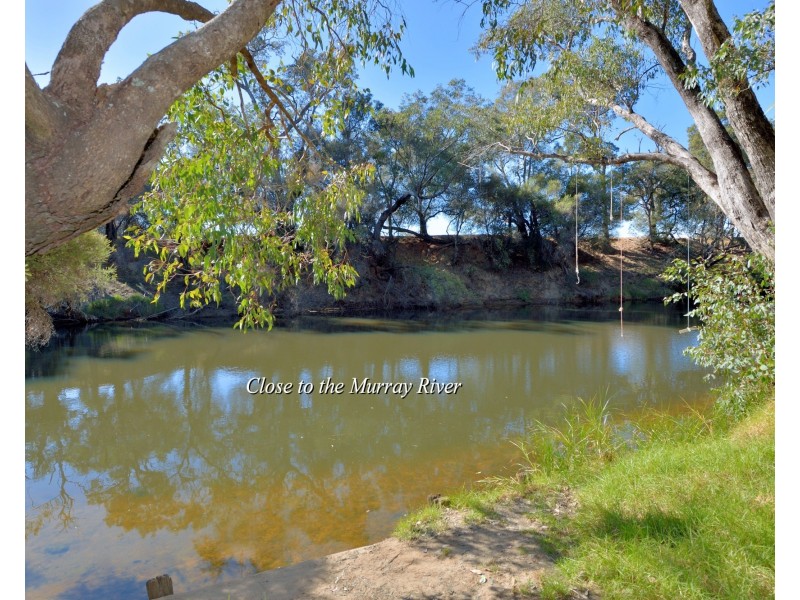 14 Potter Way, Pinjarra WA 6208