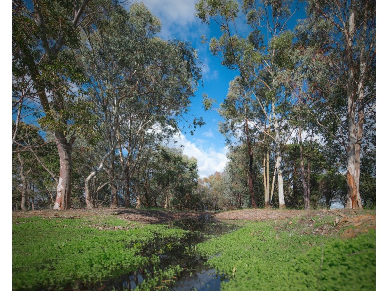 Lot 43 Hamlin Road, North Dandalup WA 6207