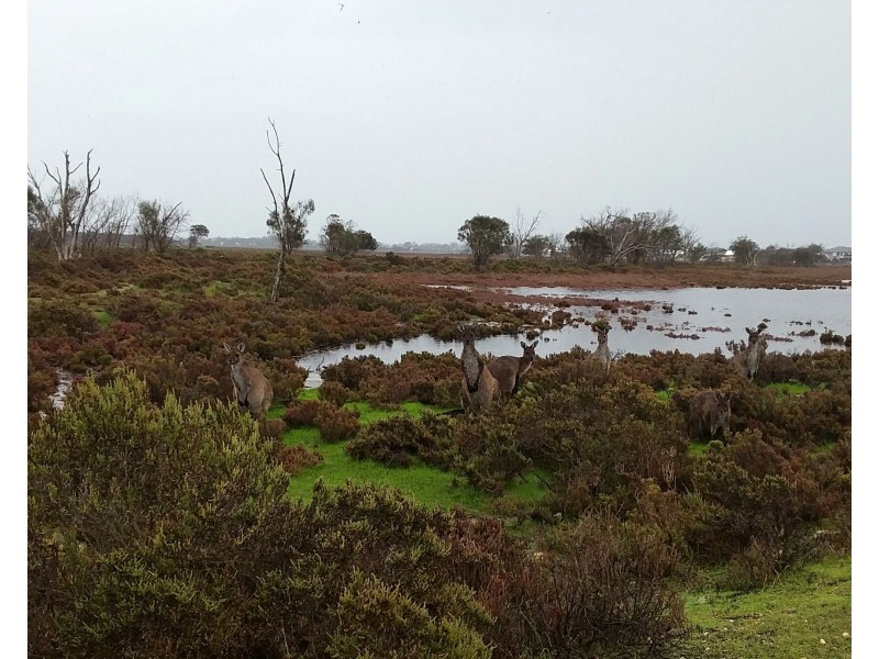 18 Peel Parade, Coodanup WA 6210