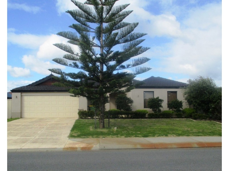 29 Dorado Street, Singleton WA 6175