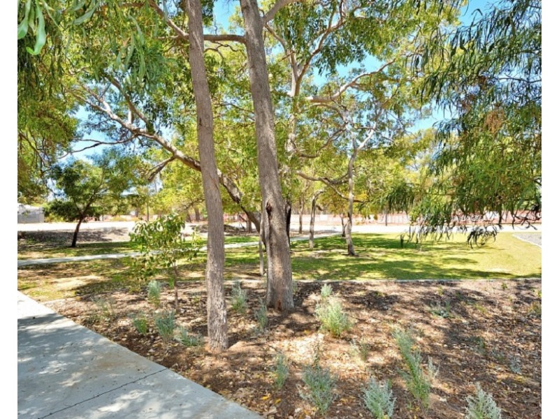 19 Thornbill Crescent, Coodanup WA 6210