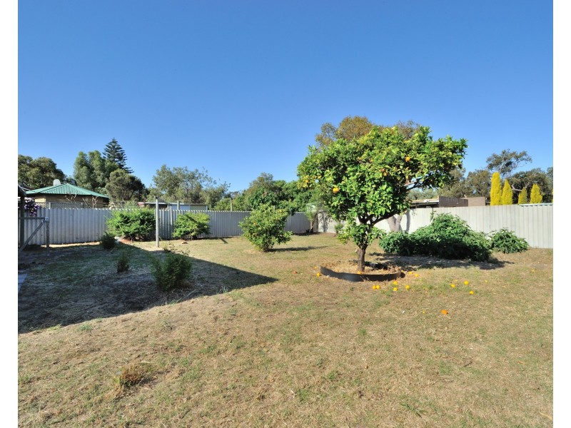 36 Thera Street, Falcon WA 6210