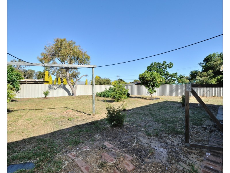 36 Thera Street, Falcon WA 6210