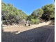 66 Ayrton Street, Dawesville WA 6211