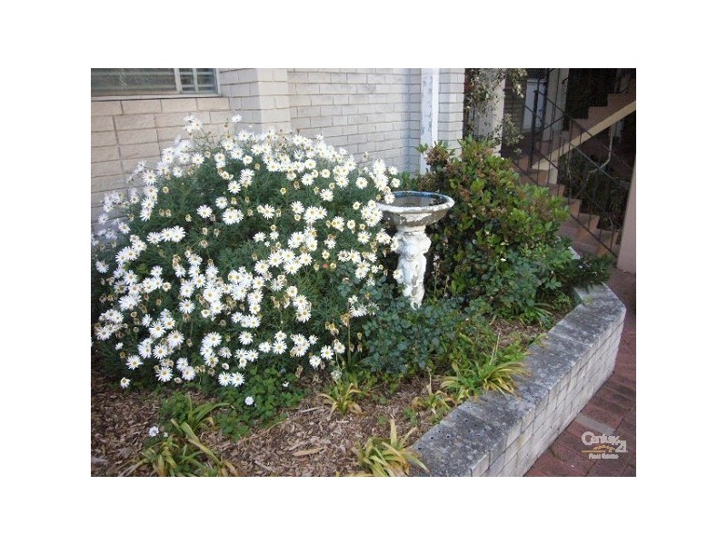 13/ 133 Lincoln Street, Highgate WA 6003