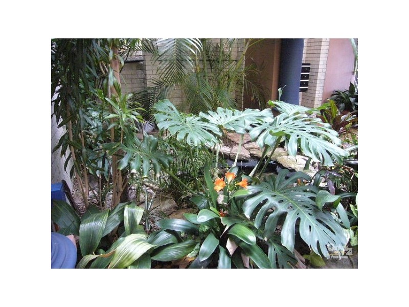 13/ 133 Lincoln Street, Highgate WA 6003