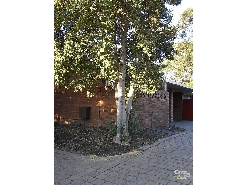 6/46 Waterloo Street, Joondanna WA 6060