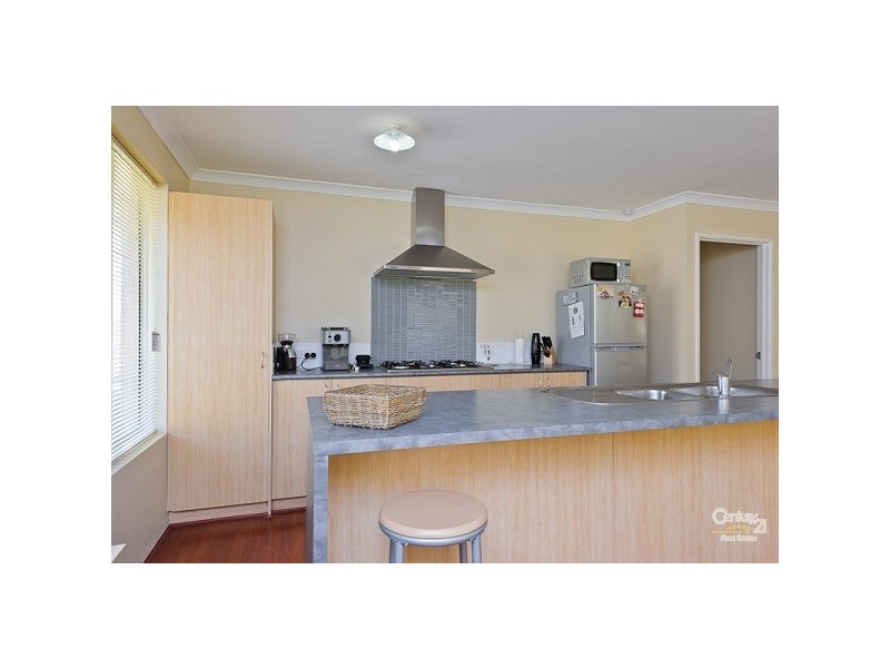 6 Mallow Link, Butler WA 6036