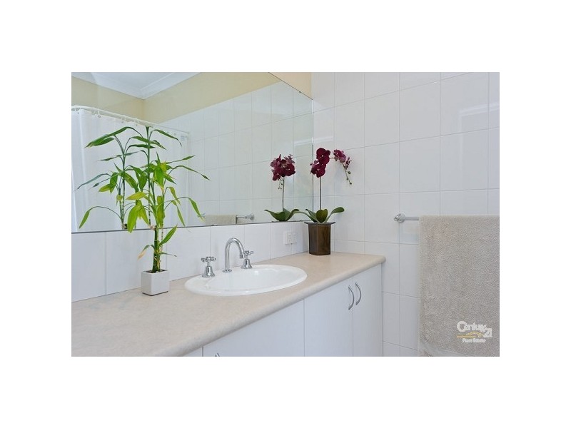 6 Mallow Link, Butler WA 6036