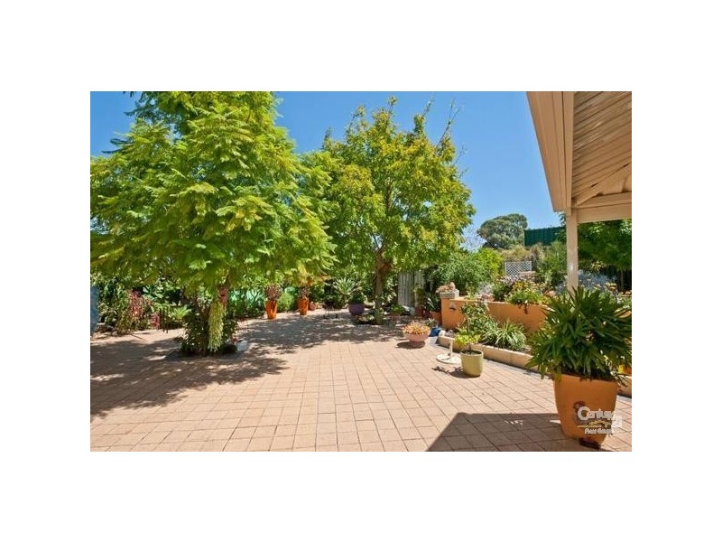 163 Gibson Avenue, Padbury WA 6025