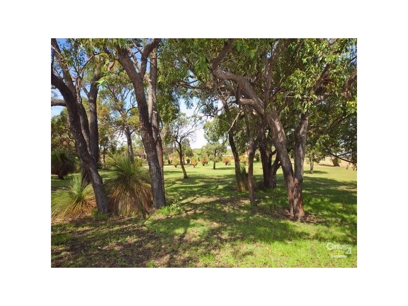 17 Aberdare Way, Warwick WA 6024