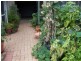 25 Lakefront Circle, The Vines WA 6069
