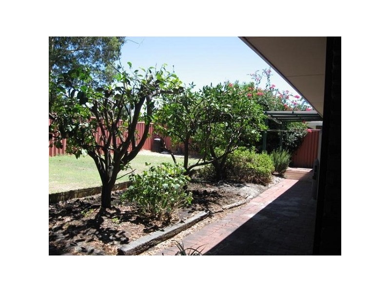 115A Darley Circle, Bull Creek WA 6149