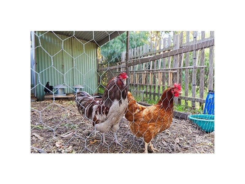 15 Burke Street, Mount Helena WA 6082