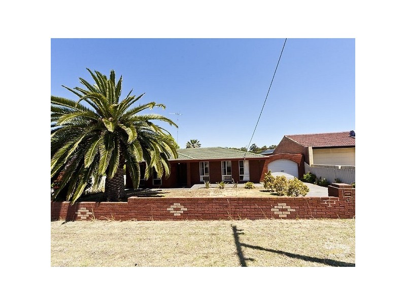 41 Owen Road, Hamilton Hill WA 6163