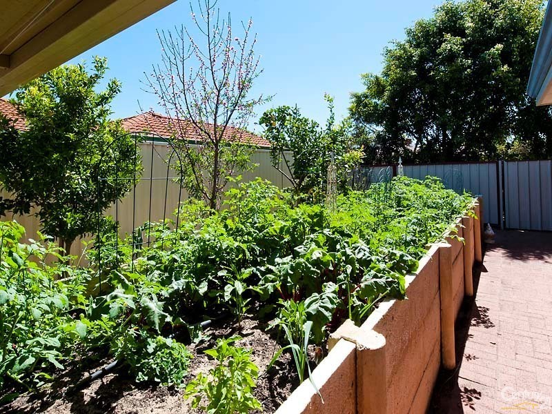 18 Timberlane Loop, Cooloongup WA 6168