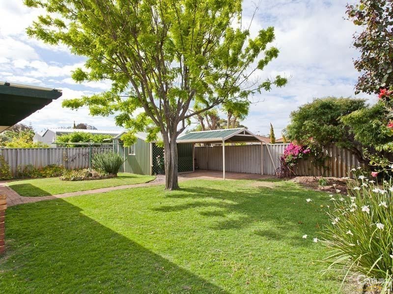 41 Hamelin Drive, Ballajura WA 6066