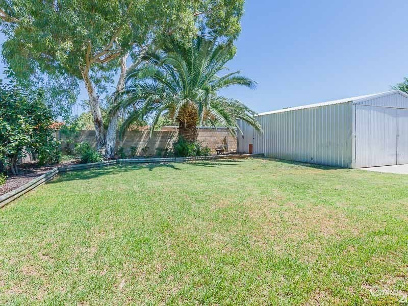 31 Avonlee Road, Armadale WA 6112