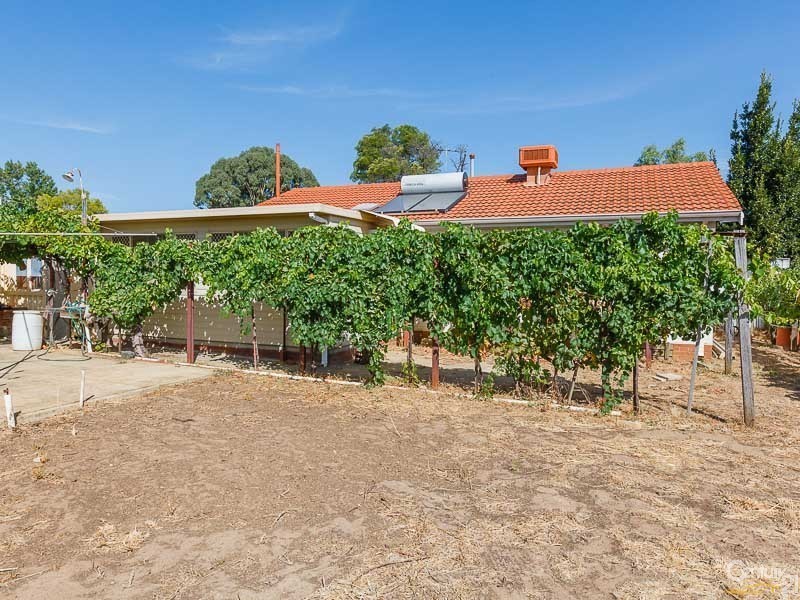 17 Devereux Street, Armadale WA 6112