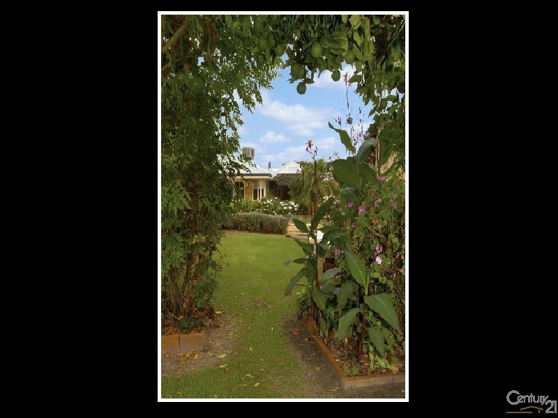 19 Monota Avenue, Shelley WA 6148