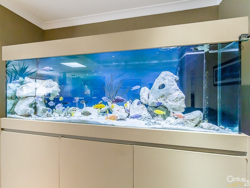 7 Haddon Way, Canning Vale WA 6155