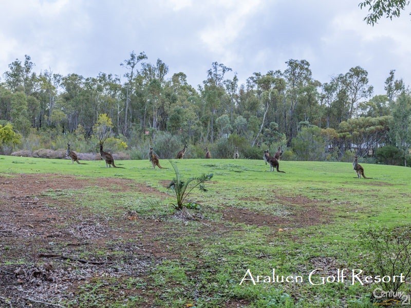 10 Mount Dale View, Roleystone WA 6111