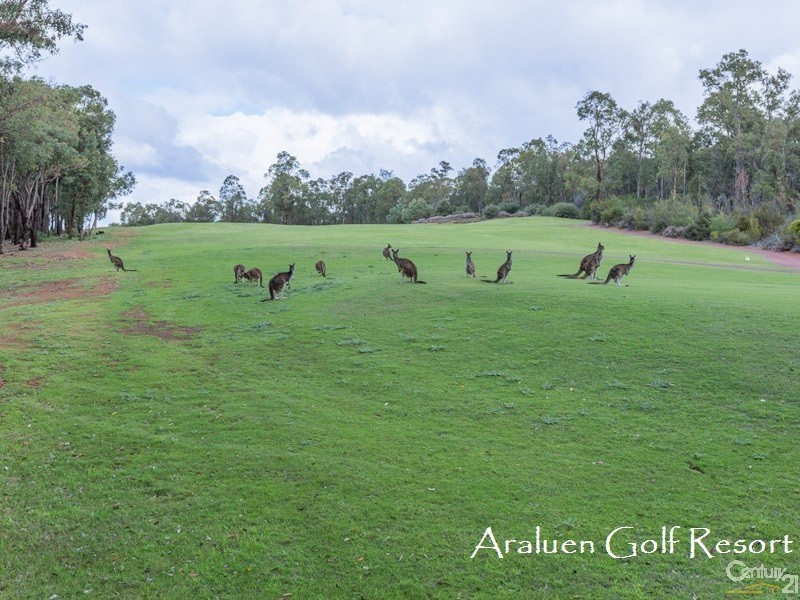 10 Mount Dale View, Roleystone WA 6111