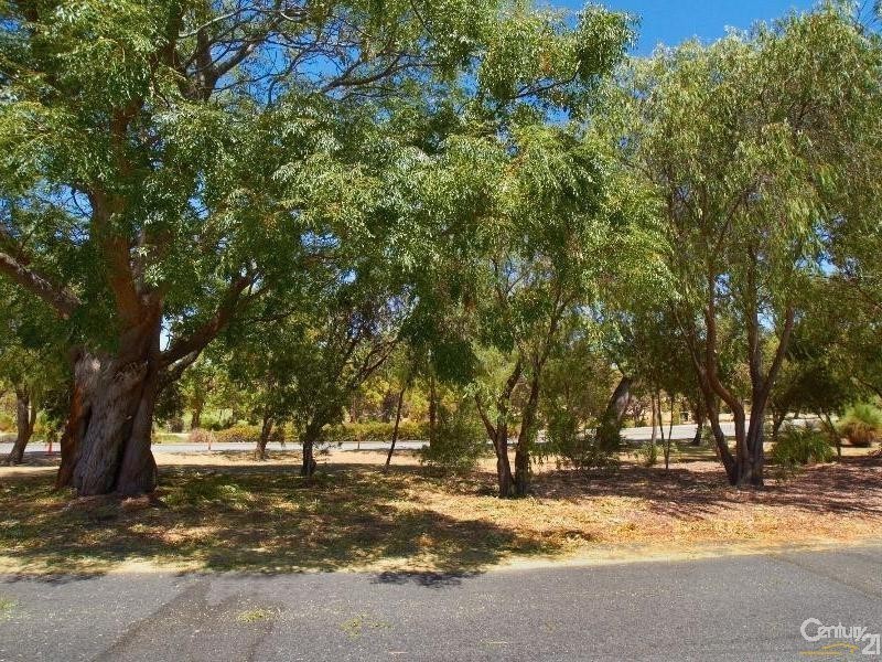 55 Gilmore Ave, Orelia WA 6167