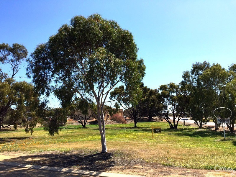 4 Quadrant Street, Pingelly WA 6308