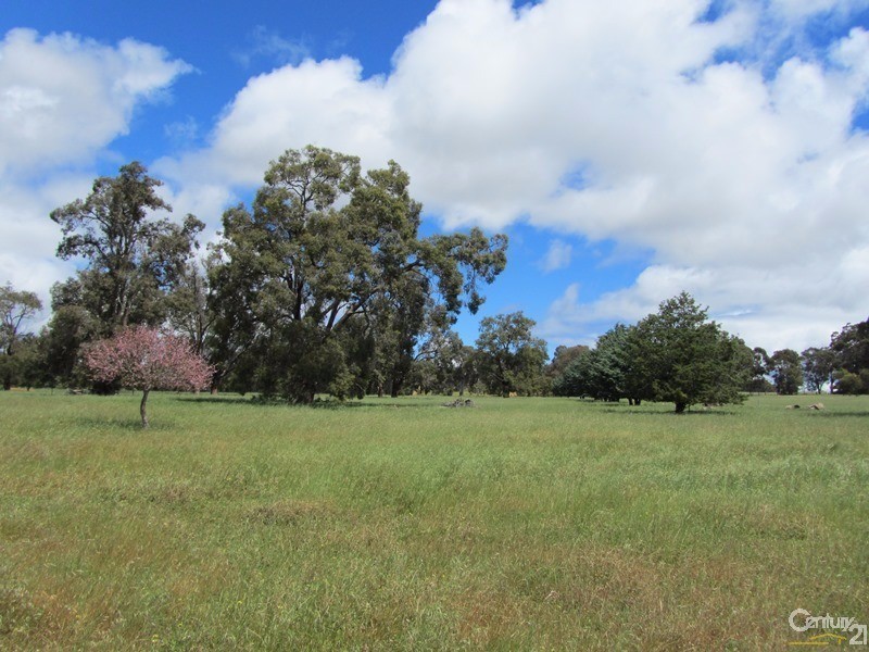 374 Chitty Road, Bakers Hill WA 6562