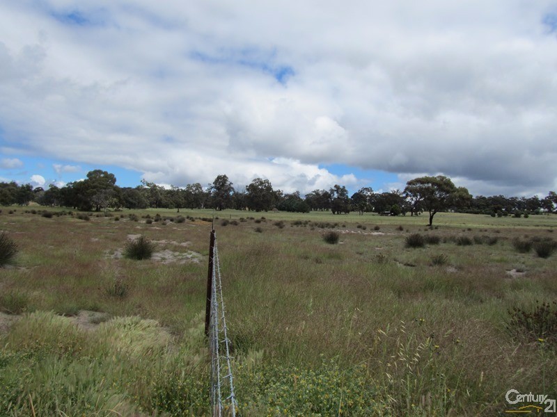 374 Chitty Road, Bakers Hill WA 6562