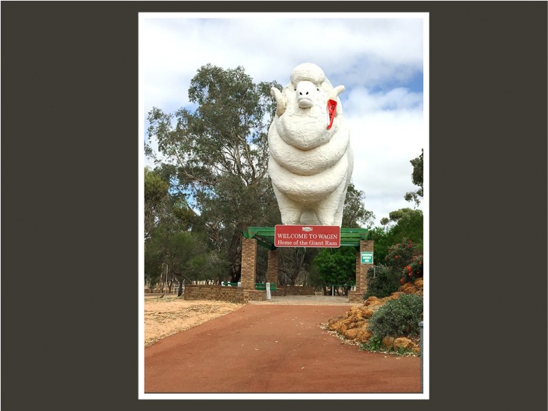 60 Upland Street, Wagin WA 6315