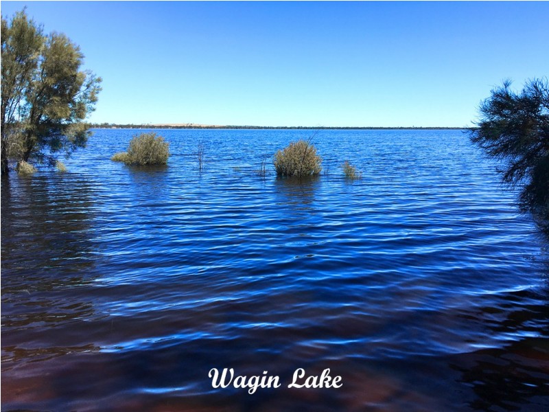 60 Upland Street, Wagin WA 6315