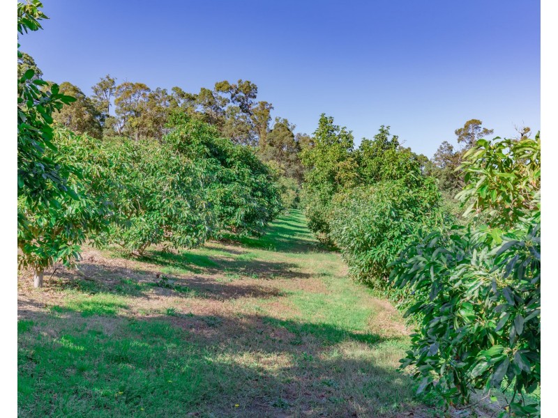 3 Omeo Place, Karragullen WA 6111