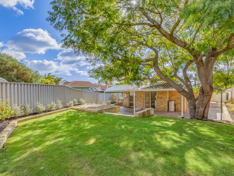 11b Cestrum Rise, South Lake WA 6164