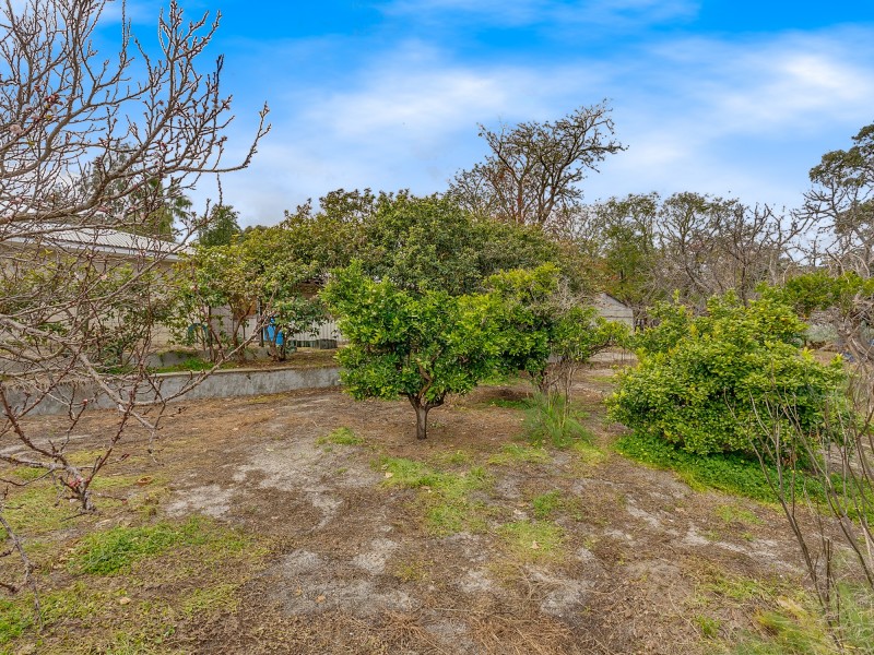 43 Connell Avenue, Martin WA 6110