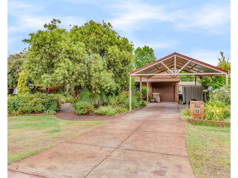 3 Westmorland Drive, Leeming WA 6149