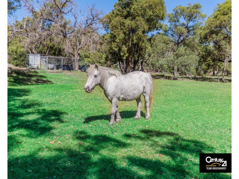 21 Bygum Lane, Martin WA 6110