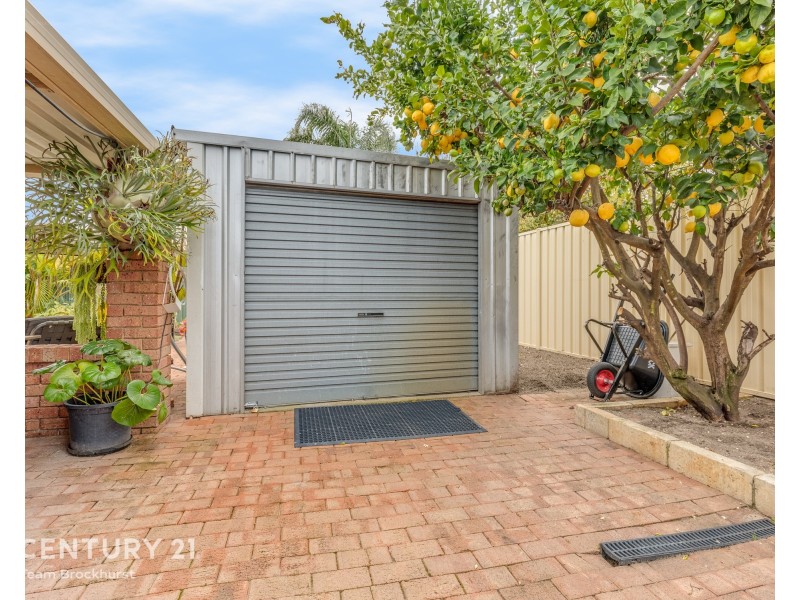 20 Pintail Parade, Ballajura WA 6066