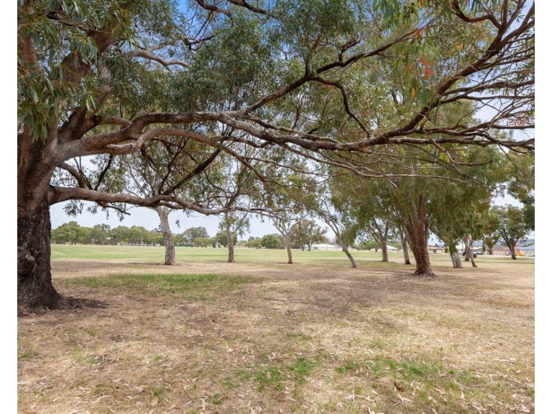 19 Nutley Street, Maddington WA 6109