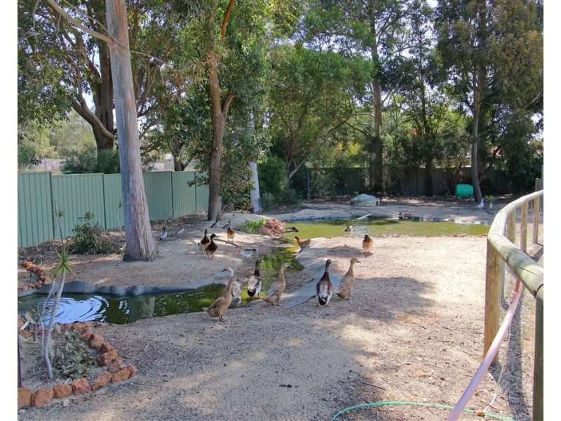 1 Millbrace Glen, Byford WA 6122