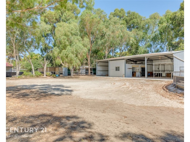 33 Briggs Road, Byford WA 6122