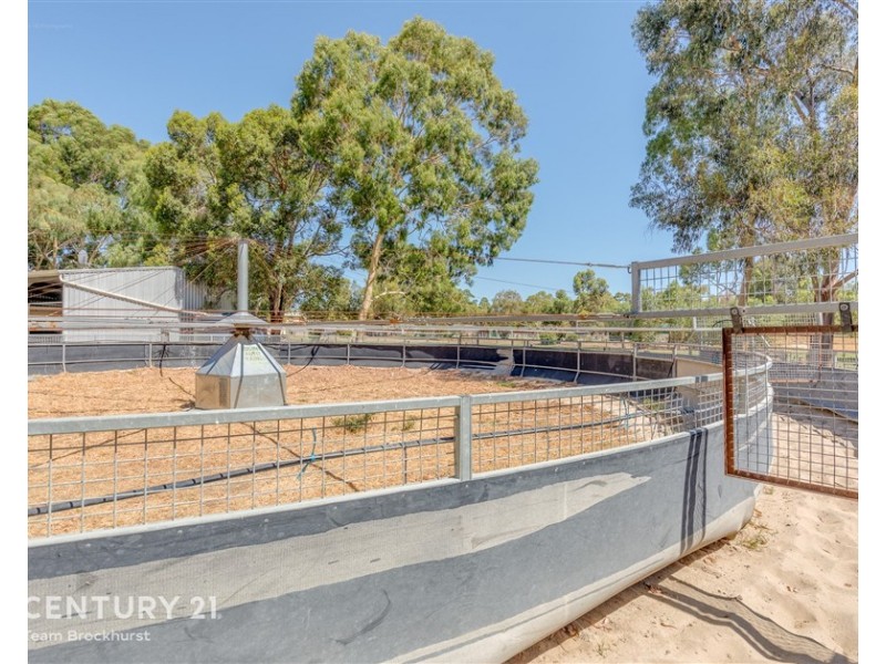 33 Briggs Road, Byford WA 6122
