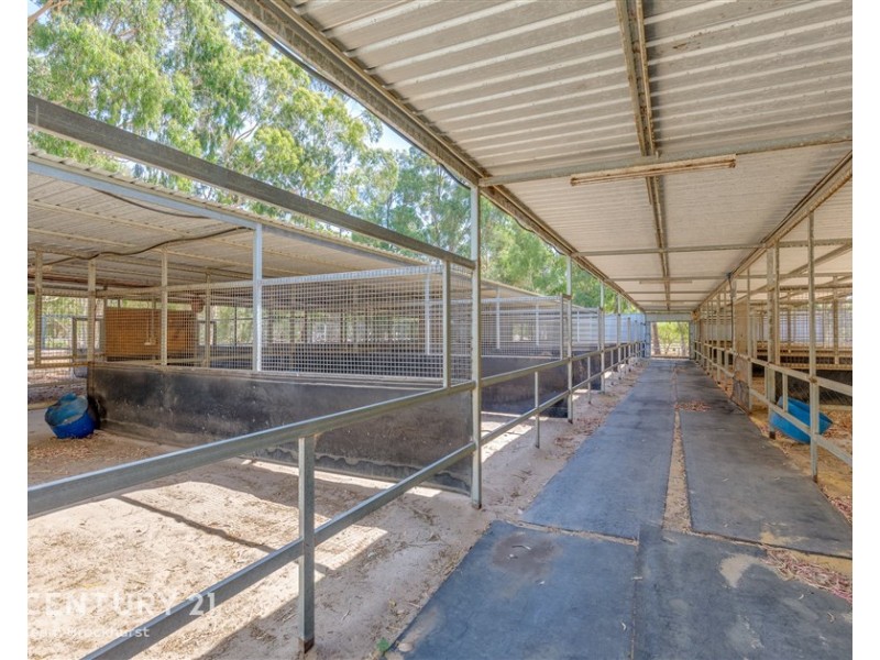 33 Briggs Road, Byford WA 6122