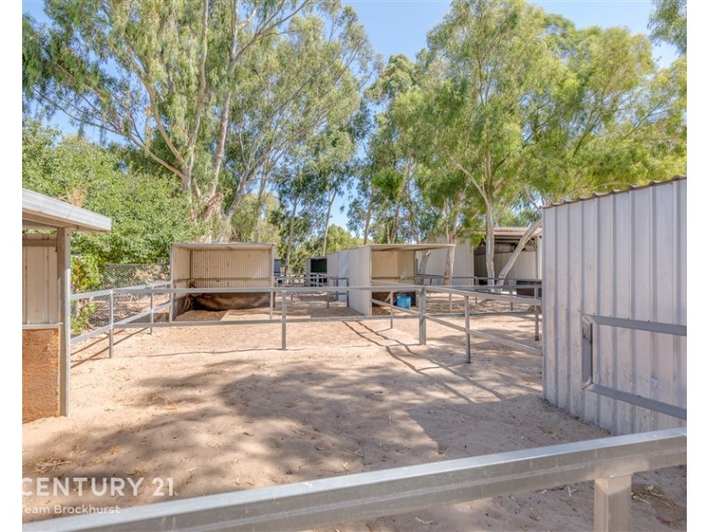 33 Briggs Road, Byford WA 6122