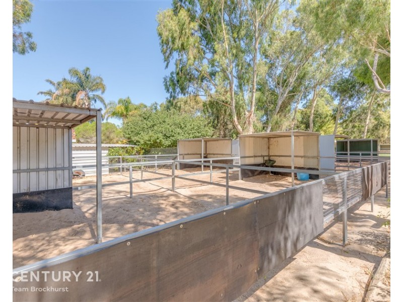 33 Briggs Road, Byford WA 6122