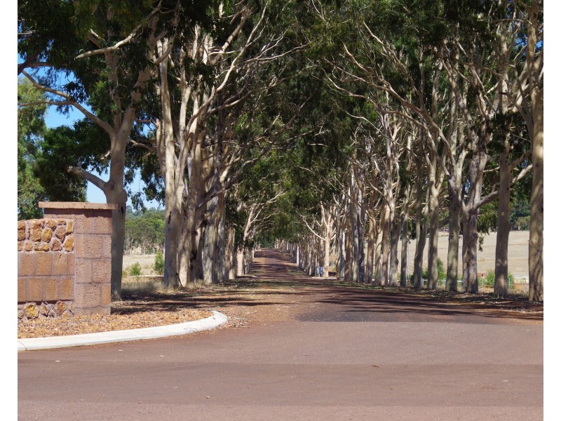 16 Cycad Crescent, Wundowie WA 6560