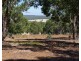 16 Cycad Crescent, Wundowie WA 6560